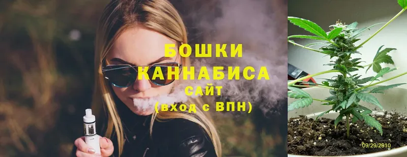 mega ТОР  купить  сайты  Удомля  дарк нет какой сайт  Бошки марихуана OG Kush 